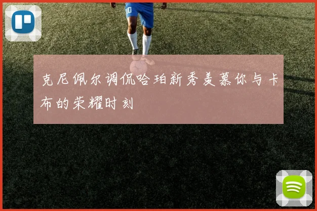 克尼佩尔调侃哈珀新秀羡慕你与卡布的荣耀时刻