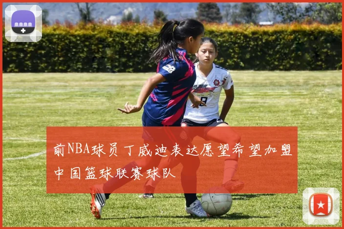 前NBA球员丁威迪表达愿望希望加盟中国篮球联赛球队